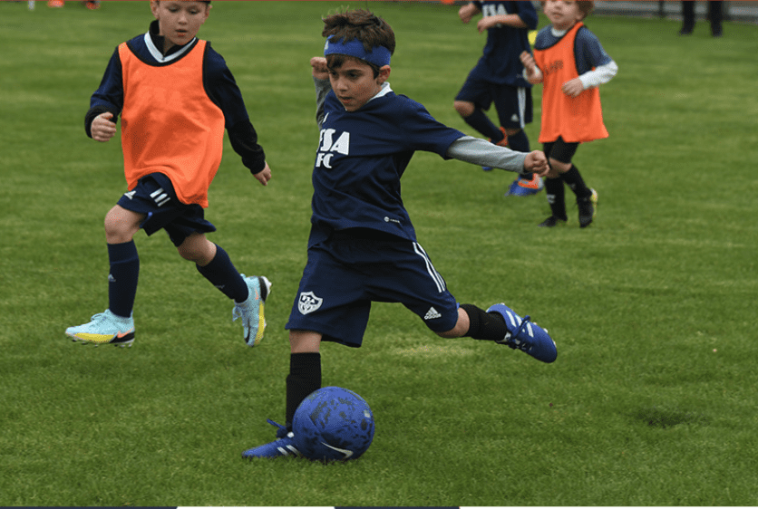 Screenshot 2024-11-08 at 1.41.04 PM